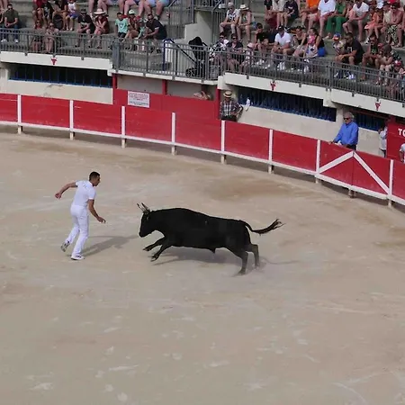 Апартаменты Nid Camarguais Les Pieds Dans L Eau *