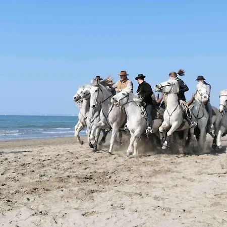 Апартаменты Nid Camarguais Les Pieds Dans L Eau Ле-Гро-дю-Руа